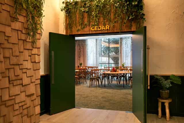 Cedar