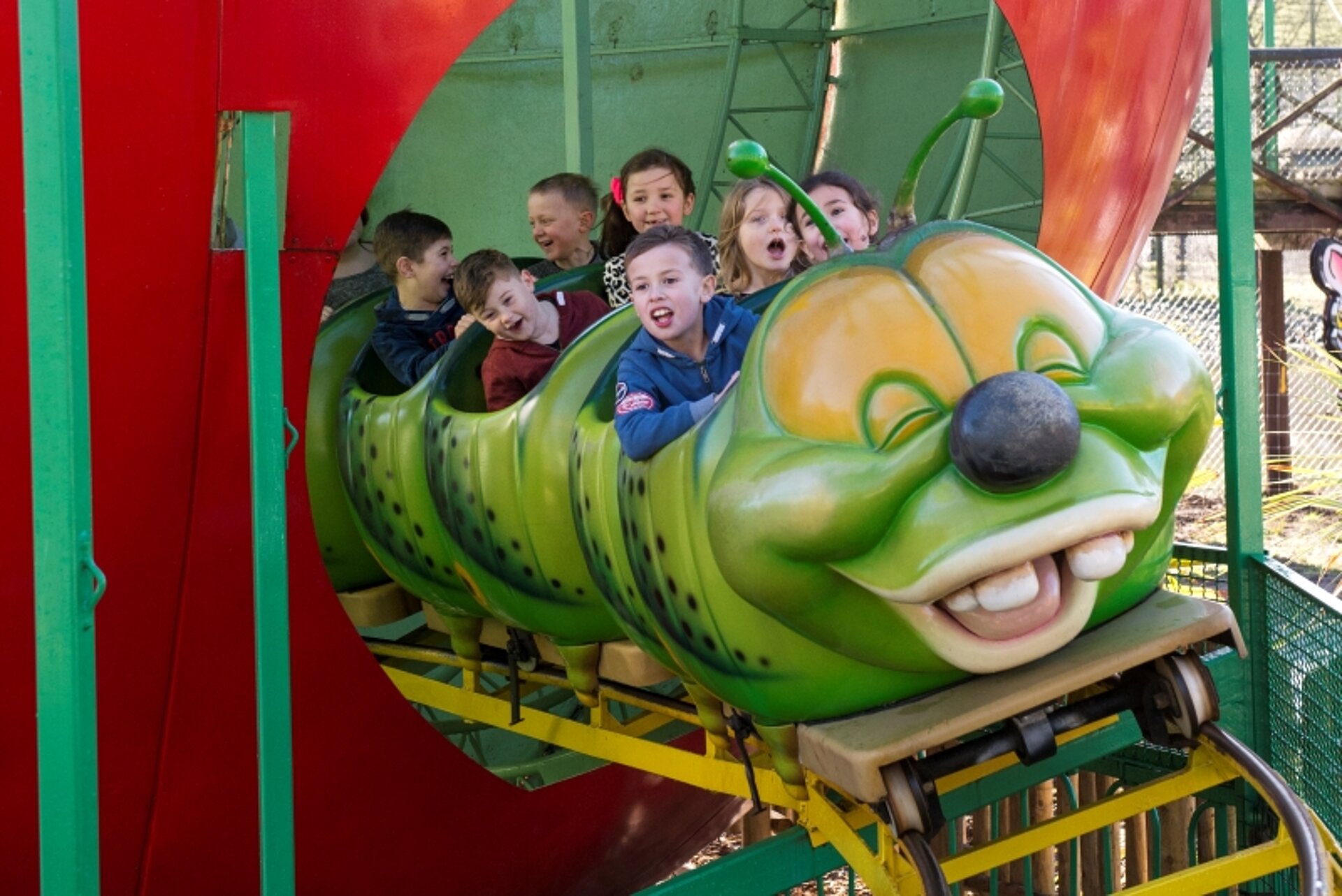 West Midlands Safari Park | Theme Park ...