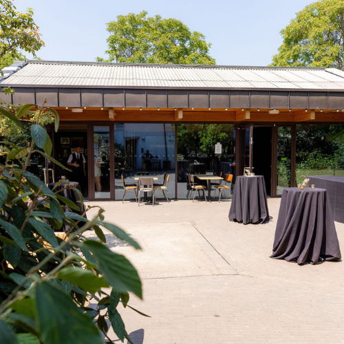 Courtyard and Grounds - 07dd762b-f898-401f-8dac-5cf9484301b5.png