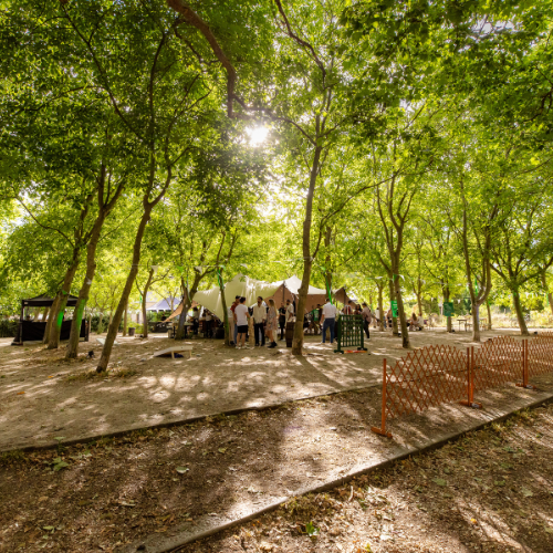 Courtyard and Grounds - cc80a780-1fa4-41e4-a89e-42ec52fc7004.png