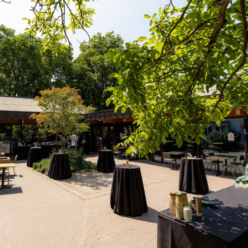 Courtyard and Grounds - f9f35630-4404-4e29-ab7a-4a3d40b53e3c.png