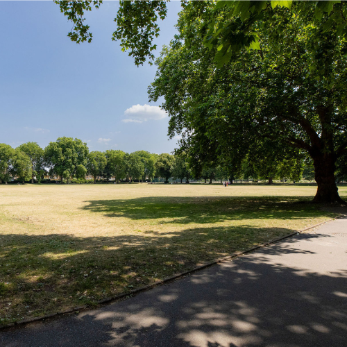 Courtyard and Grounds - 91520ef9-acb6-4c14-901f-33cce0f1649f.png