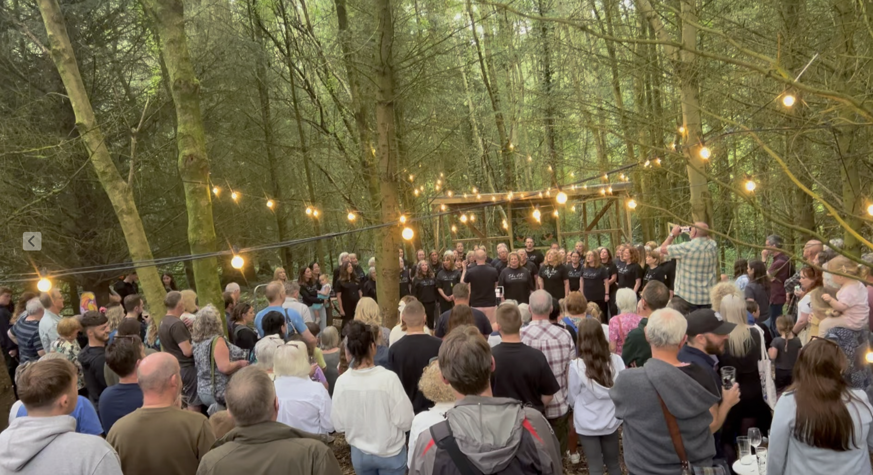 Woodland STAGE at The Strines Nightingale, outdoor performance in a forest setting.