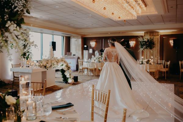 Luchetti Ballroom wedding venue with elegant decor and bride in stunning gown.