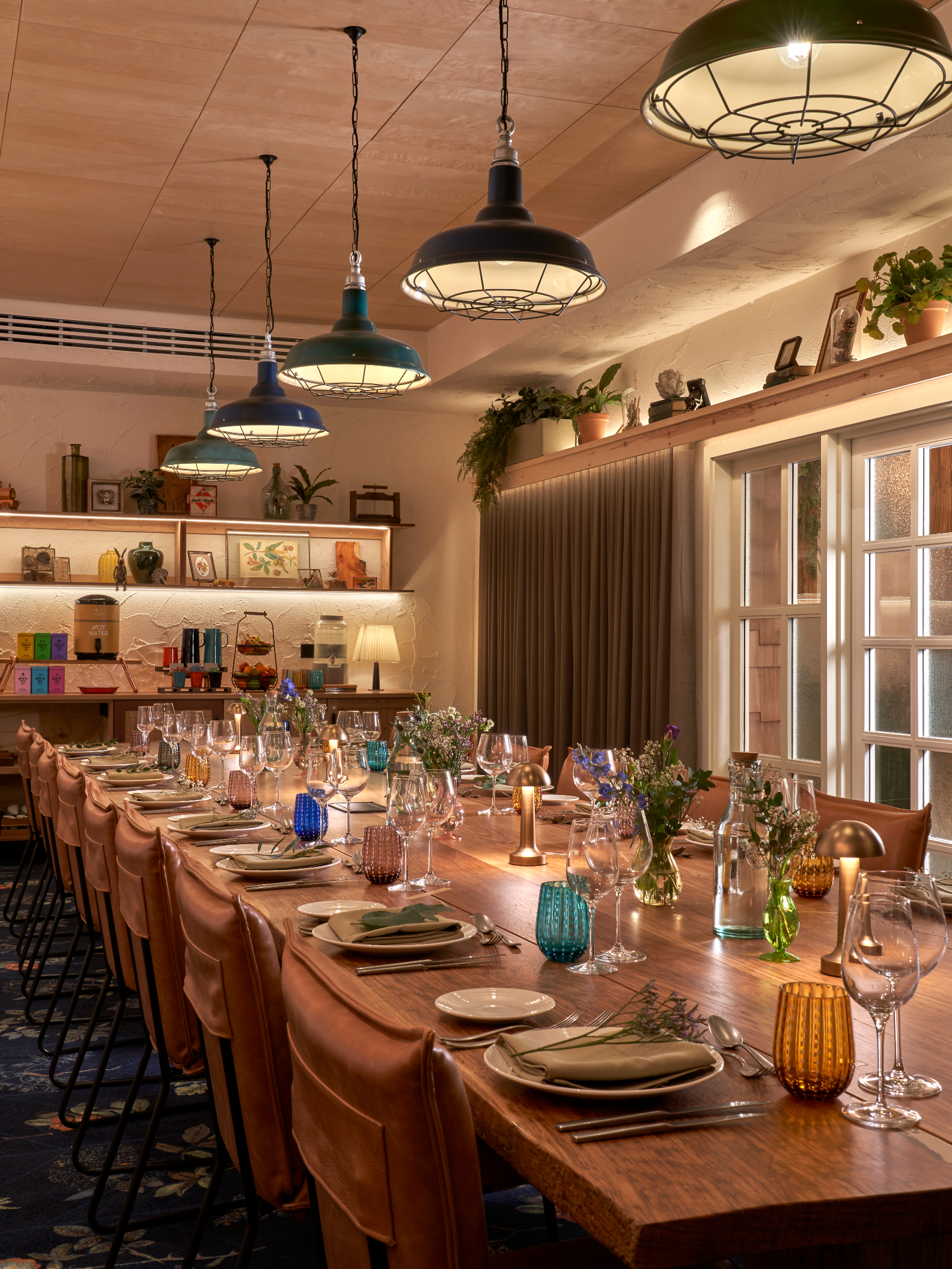 Chestnut - qgmoxfb0c2x.jpg