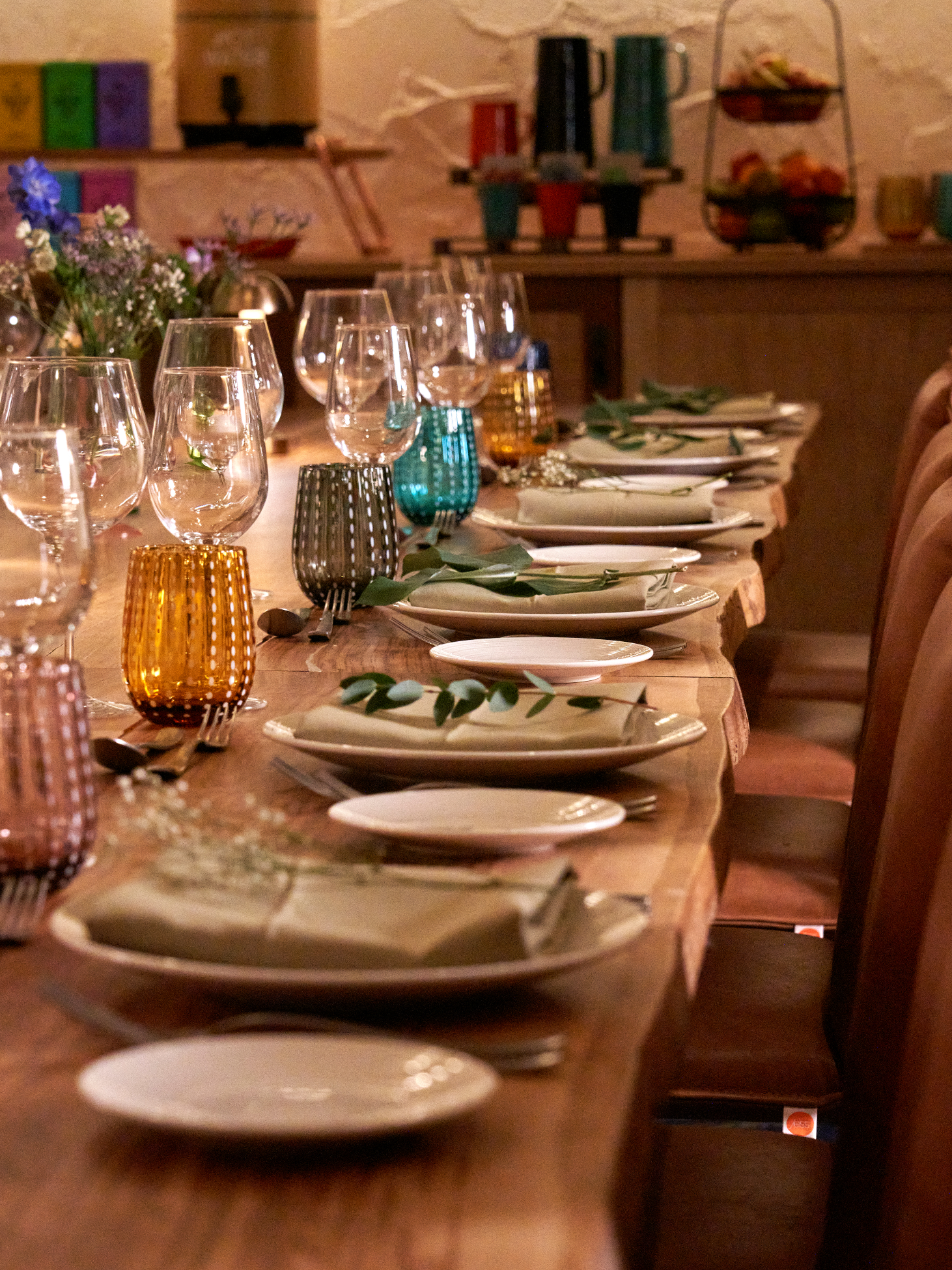 Chestnut - xofmh3ecyzl.jpg