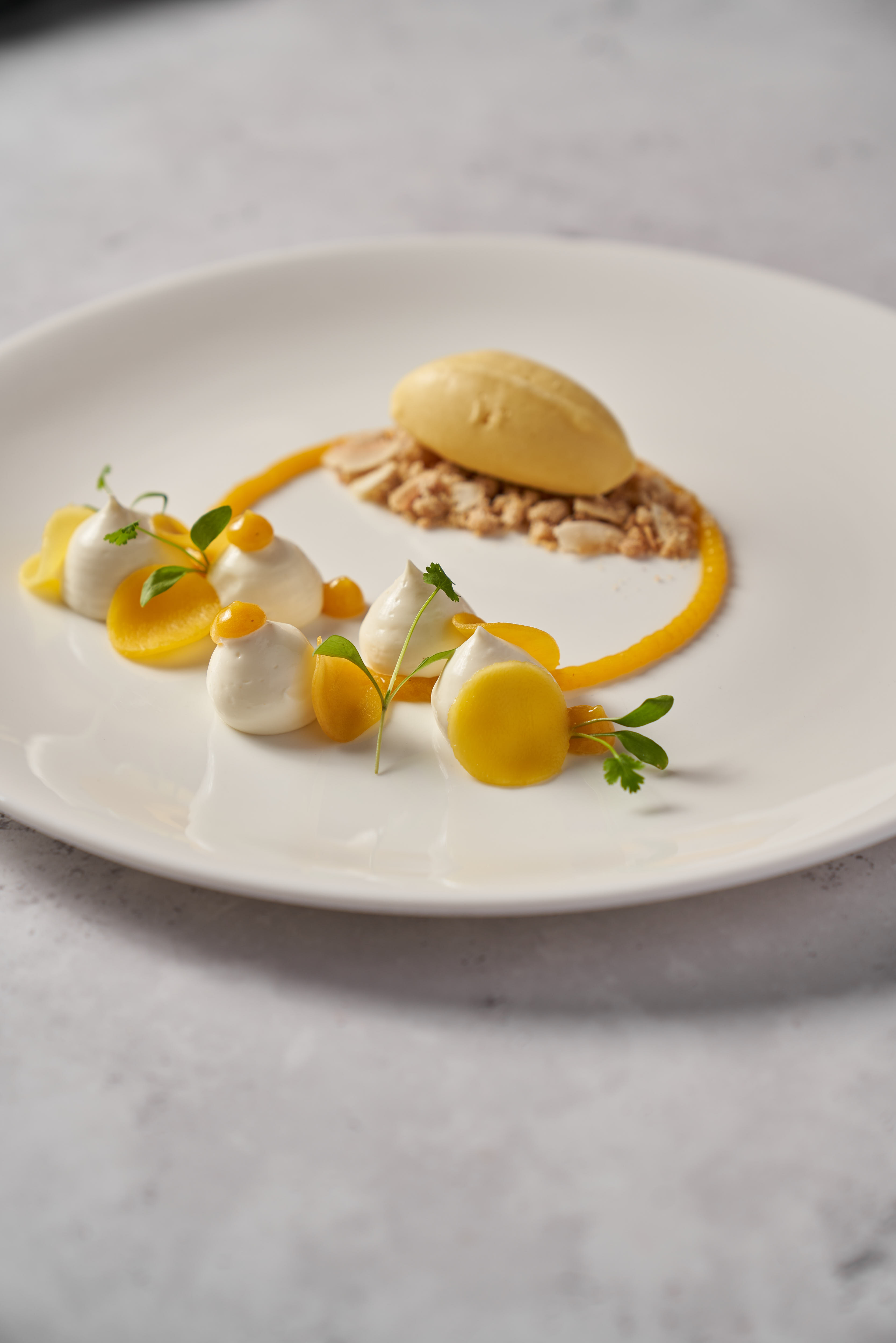 The New Court Room - 3n4aueuach1.jpg