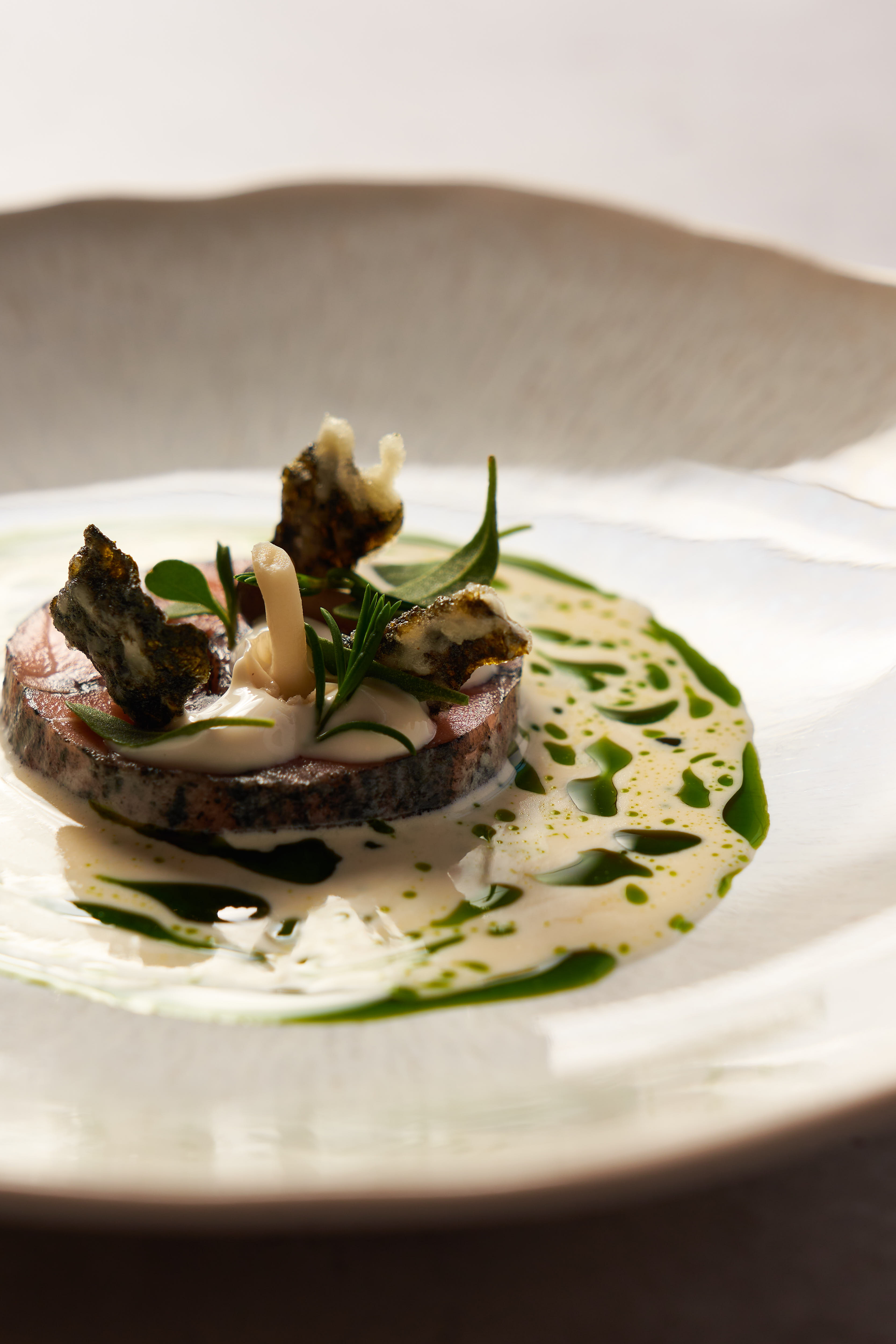 The New Court Room - jqgkycfr5ly.jpg