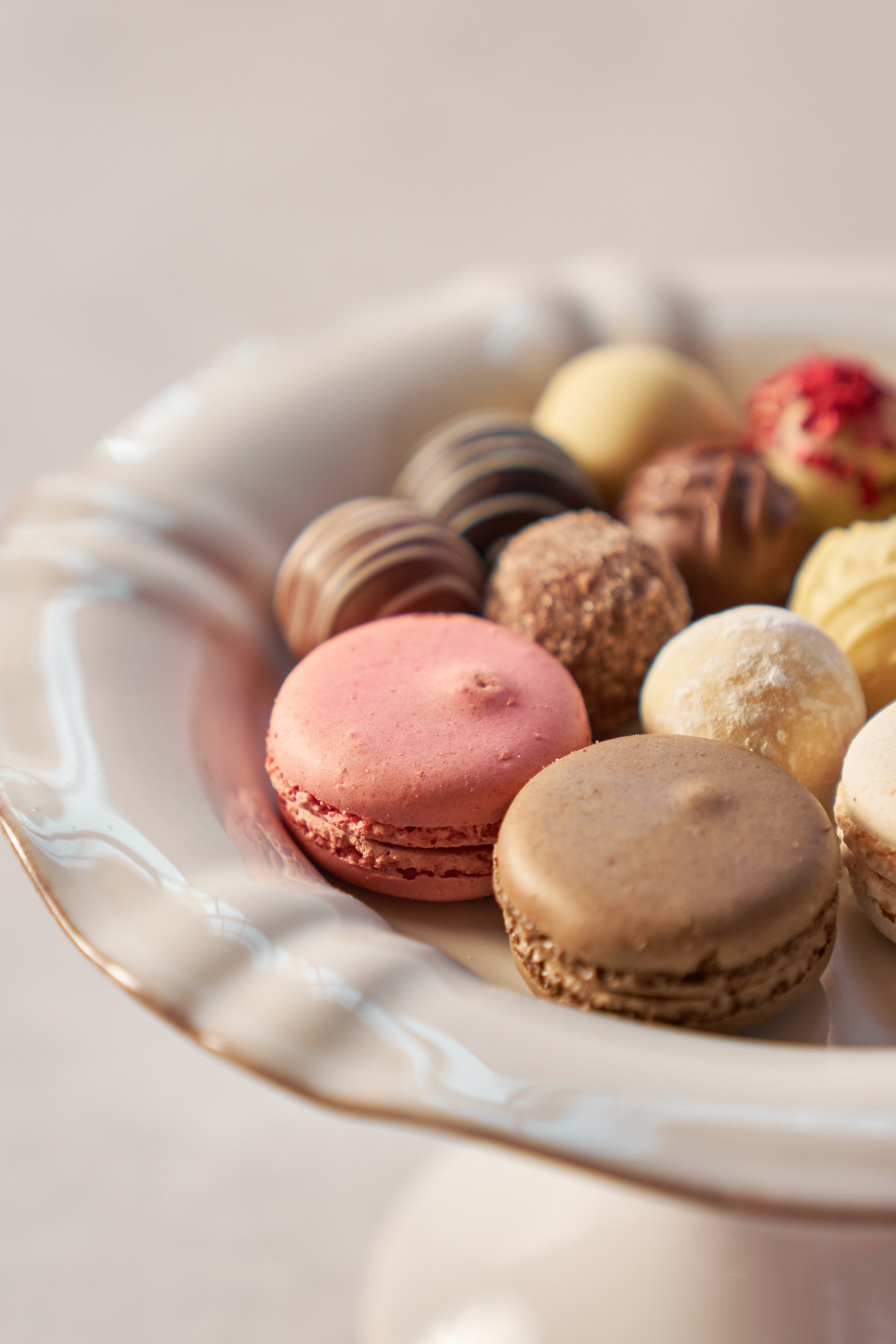 The New Court Room - tzlcvxaprcz.jpg