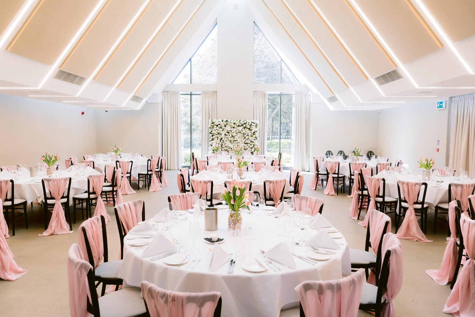 Lloyd Suite - lmcgfu5xn00.jpg