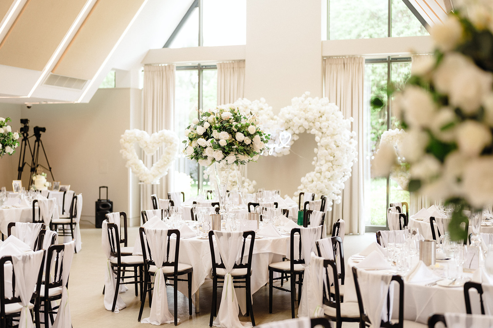 Lloyd Suite - qgyfbasvz1m.jpg