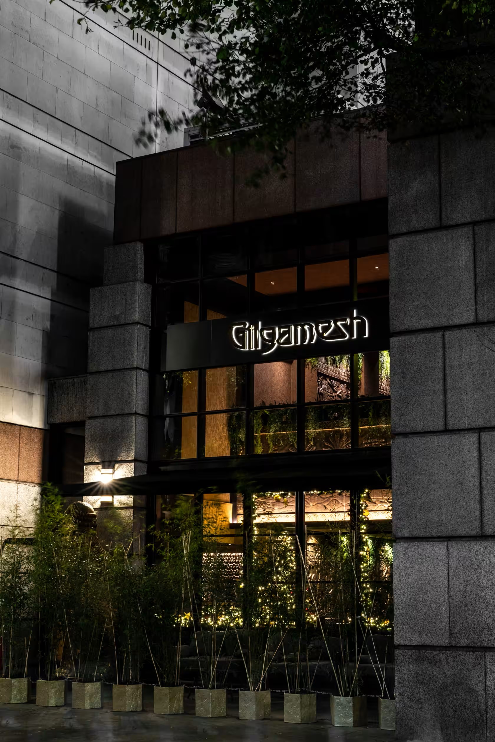 The Restaurant - 402qkiigxef.jpg