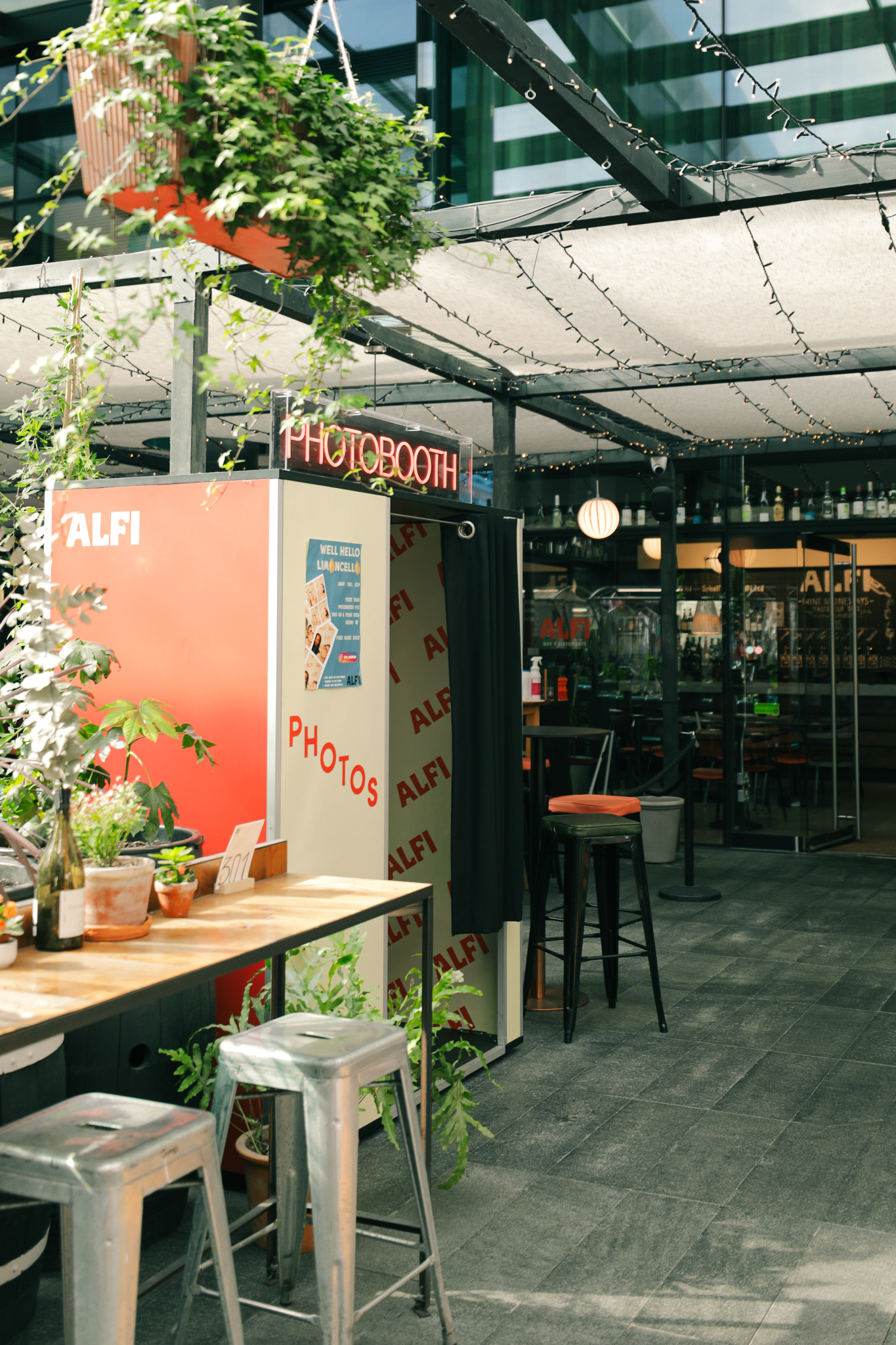 Alfi - image 6