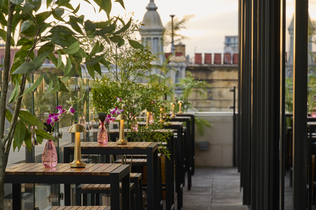 Sora - 190b84c3-0fbb-48bb-87b1-9a98ae2664b8.jpg