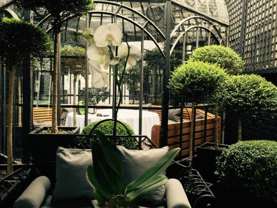 Blakes Hotel, London - Tripadvisor