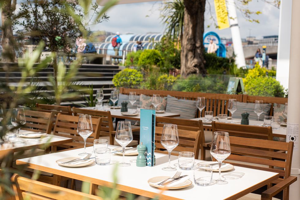 La Gamba Review Royal Festival Hall ...