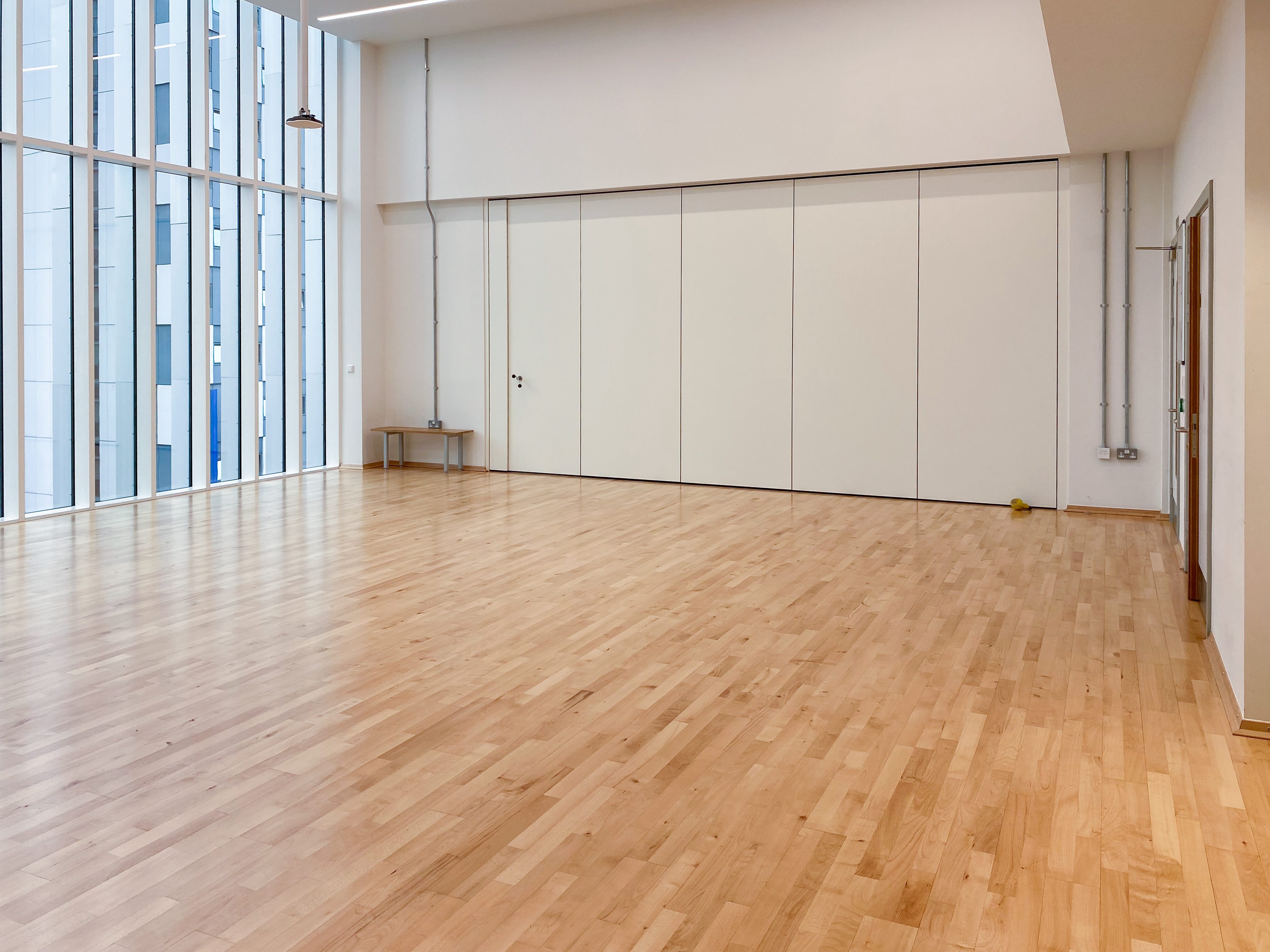 Wellbeing & Performance Studio: spacious event space with large windows for workshops and meetings.