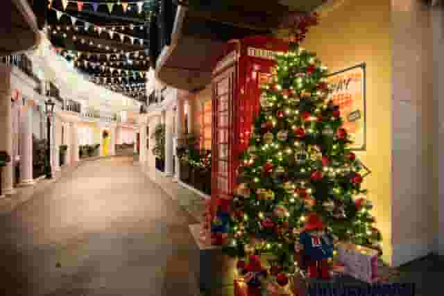 The Paddington Bear Experience