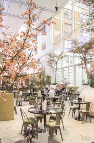 Elegant event space with cherry blossom trees, perfect for networking and gatherings.