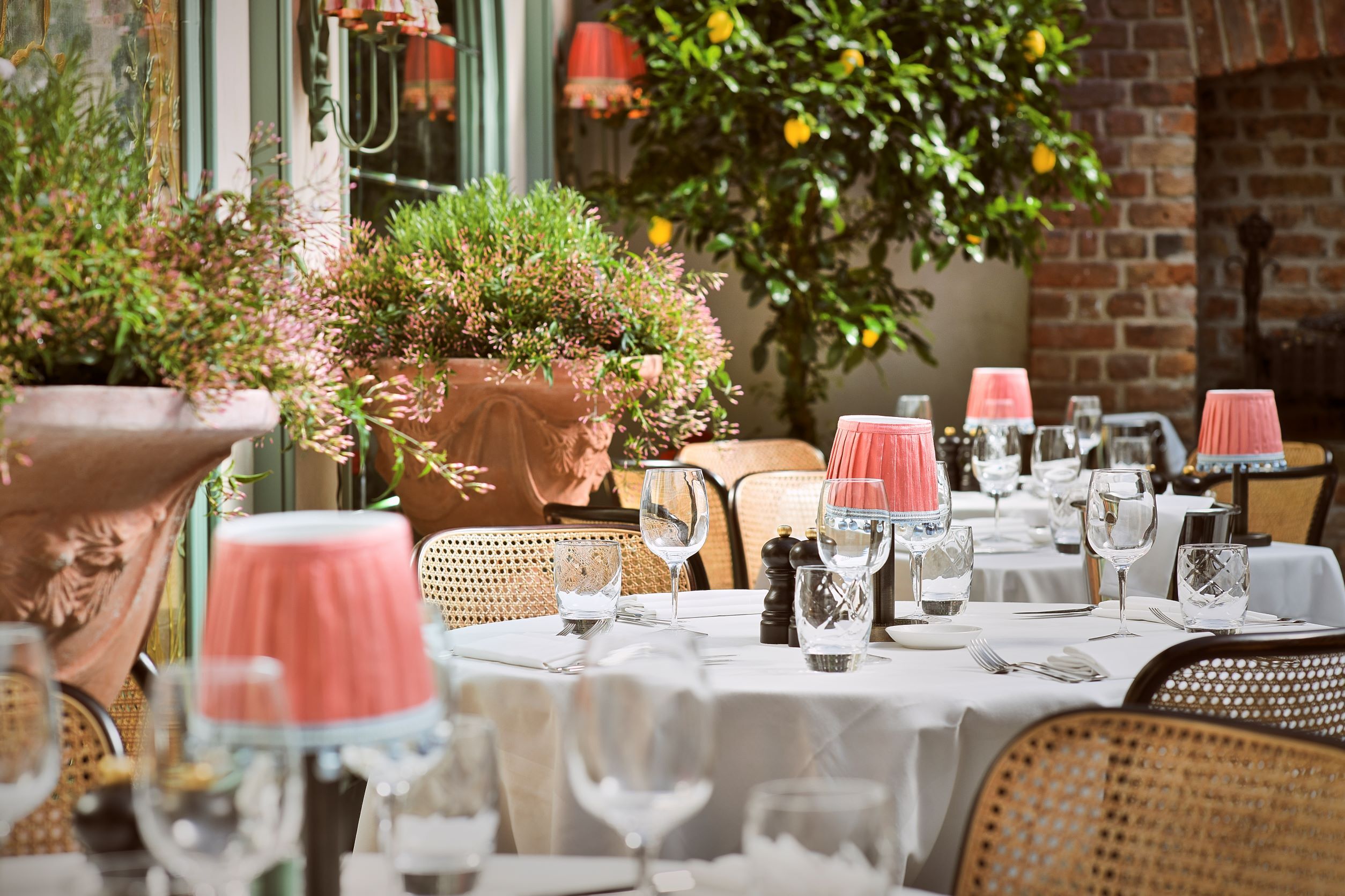 Elegant dining space at Daphne's Bar with soft lighting, ideal for upscale events.