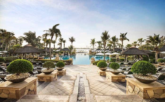 Sofitel Dubai The Palm Pool: Pictures ...