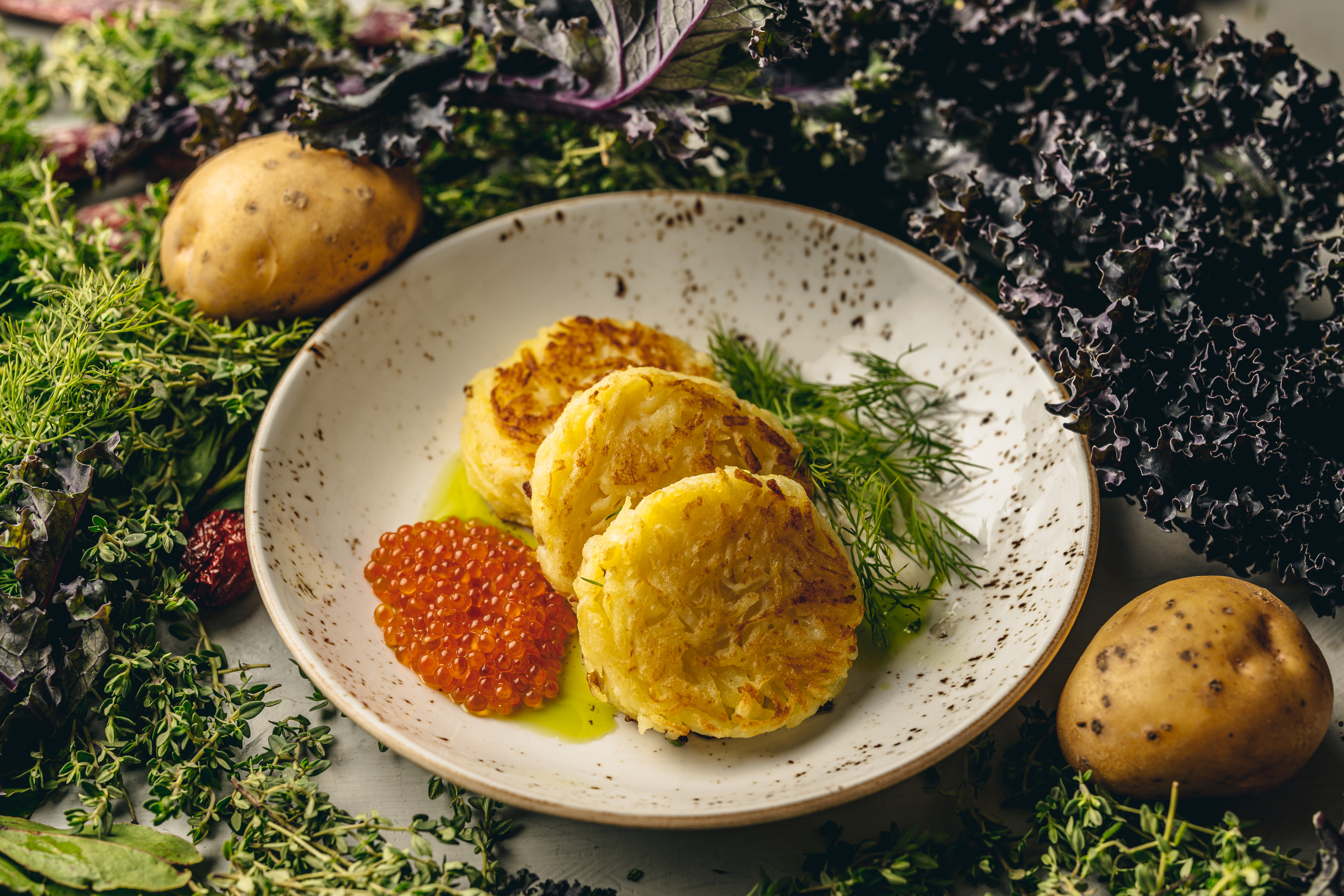 Terrace - wfjrlynwuje.jpg