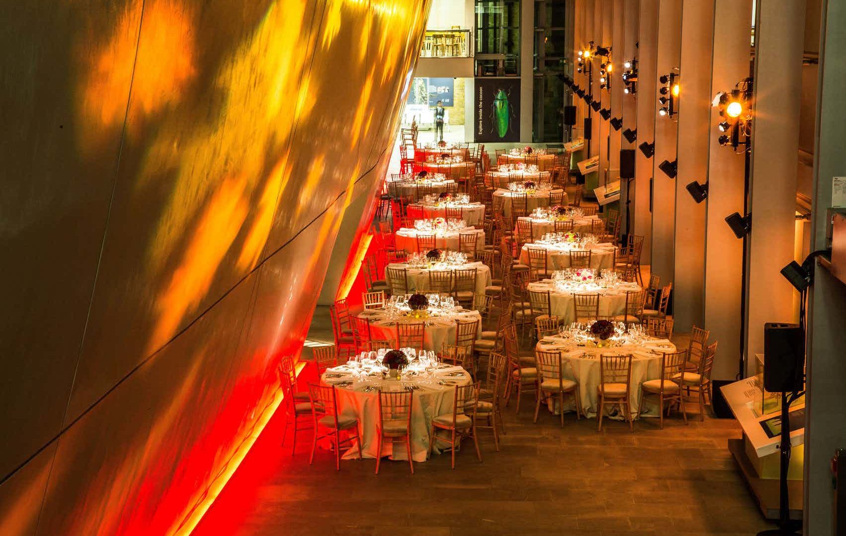 Elegant banquet space at The Darwin Centre, ideal for upscale events and weddings.
