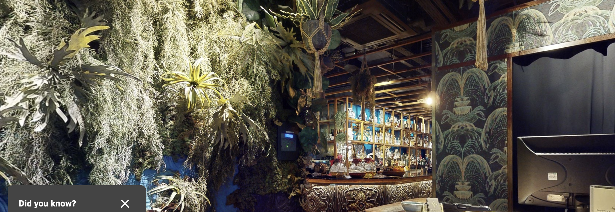 Inti Room in Coya City: lush venue with vibrant greenery for events and gatherings