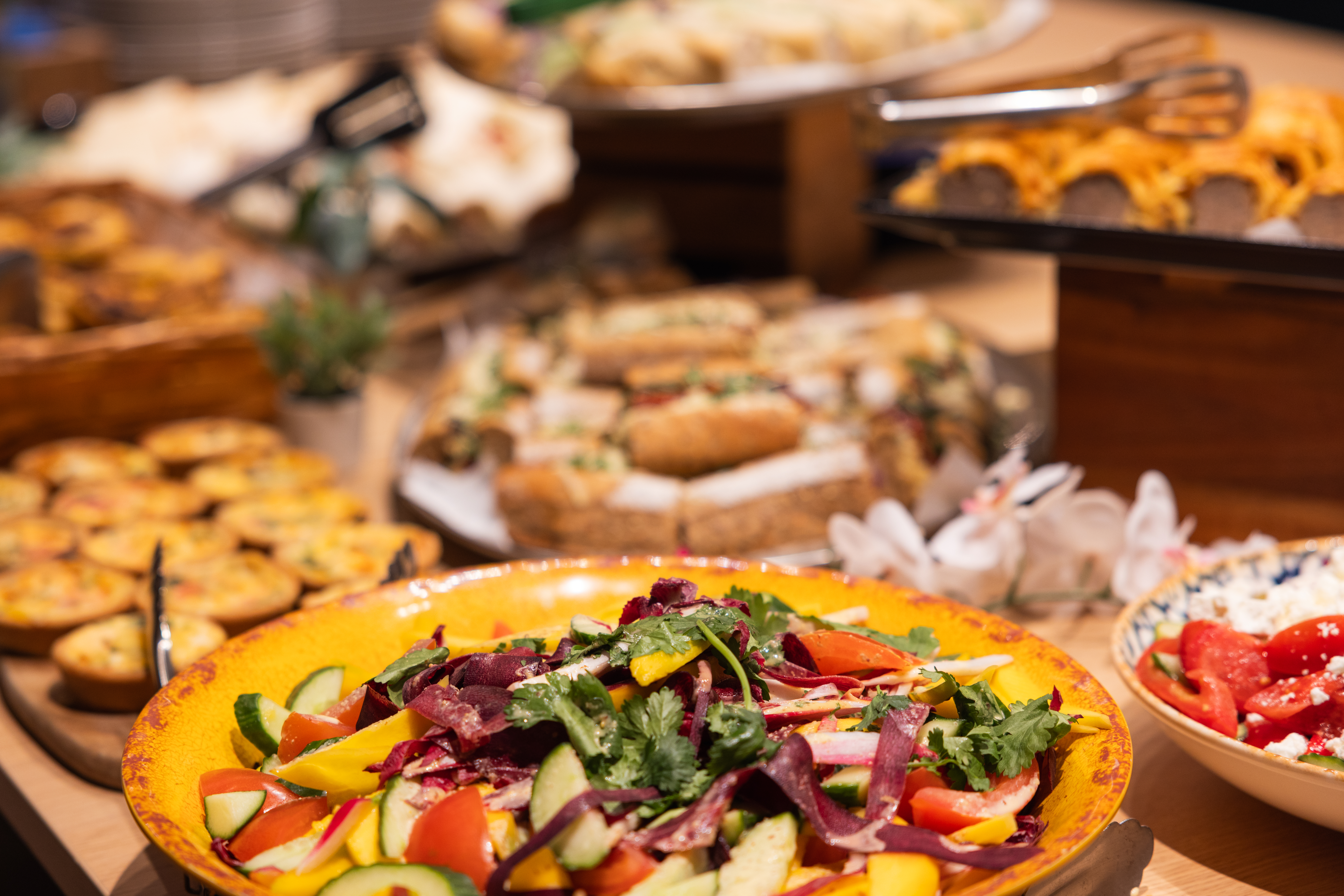 Buffet spread with vibrant salads at Salisbury House for networking event.