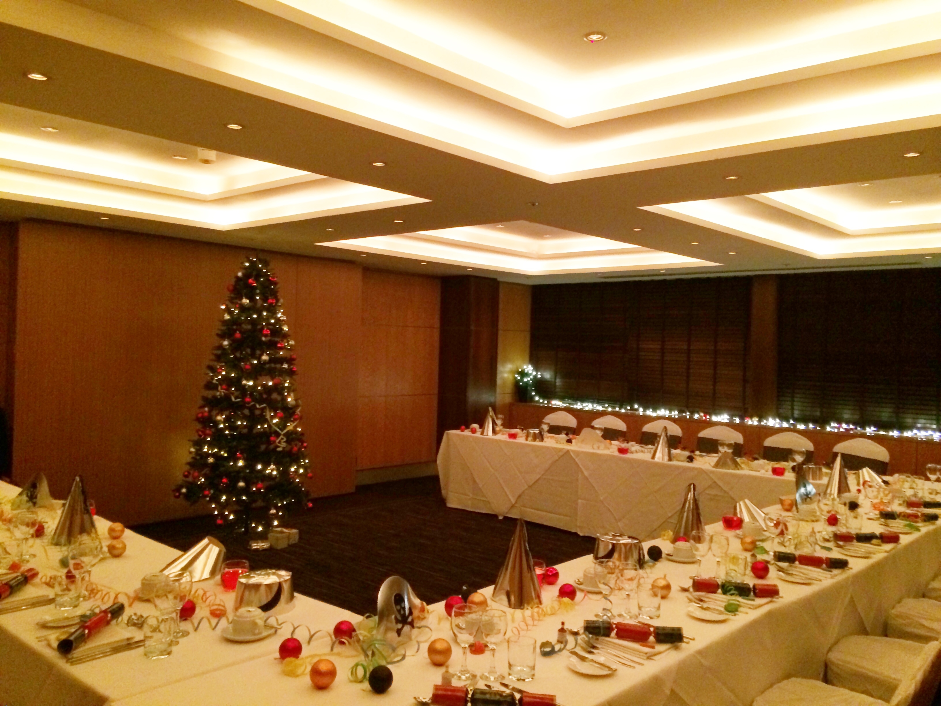 Chamber 1 - rlusb0v35dm.JPG