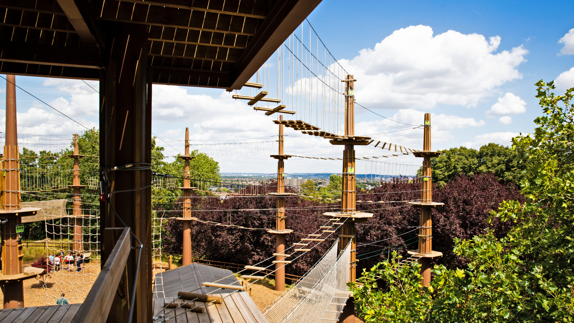 Treetop Challenge Xpress: elevated ropes course for outdoor team-building activities.