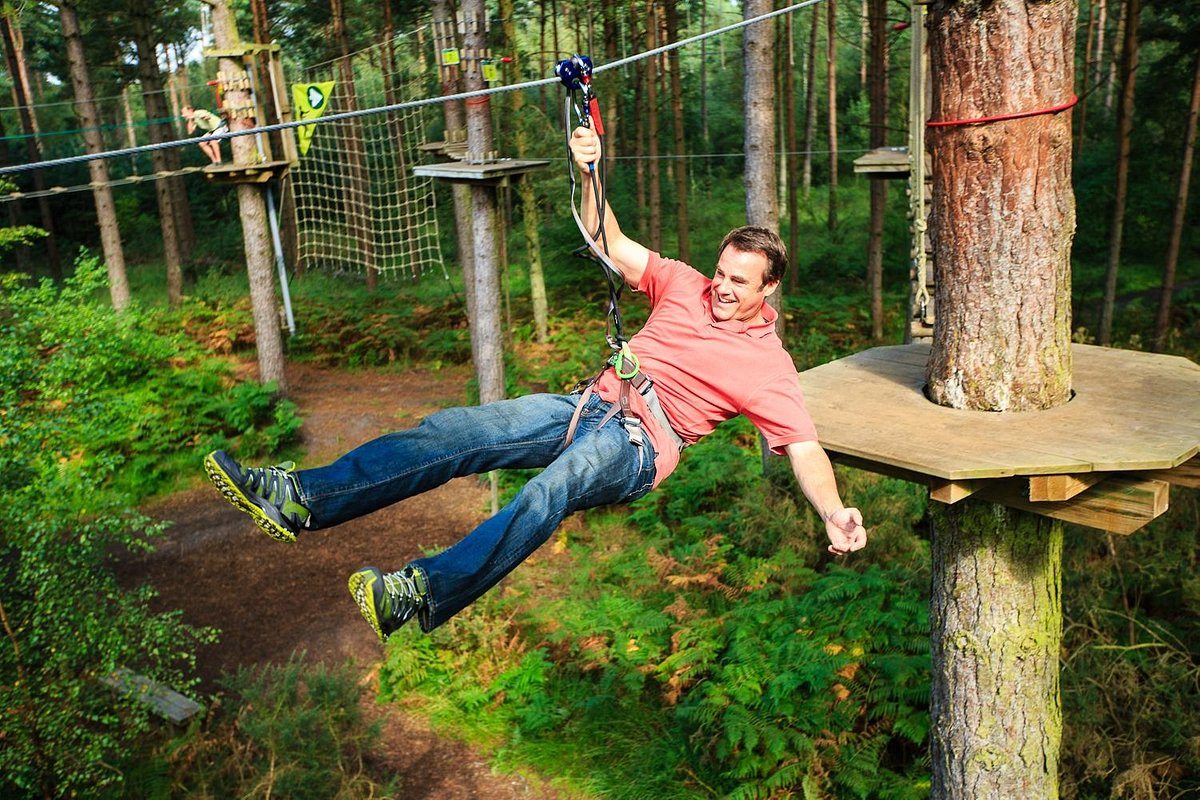 Treetop Challenge Xpress zip line in lush forest for team-building and outdoor events.