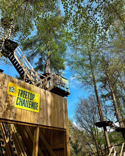 Treetop challenge course at Go Ape Rivington for team-building adventures.