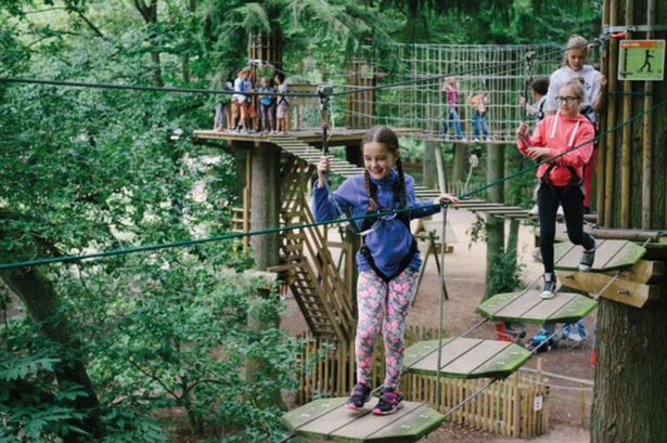 Go Ape Rivington guide: Opening times ...