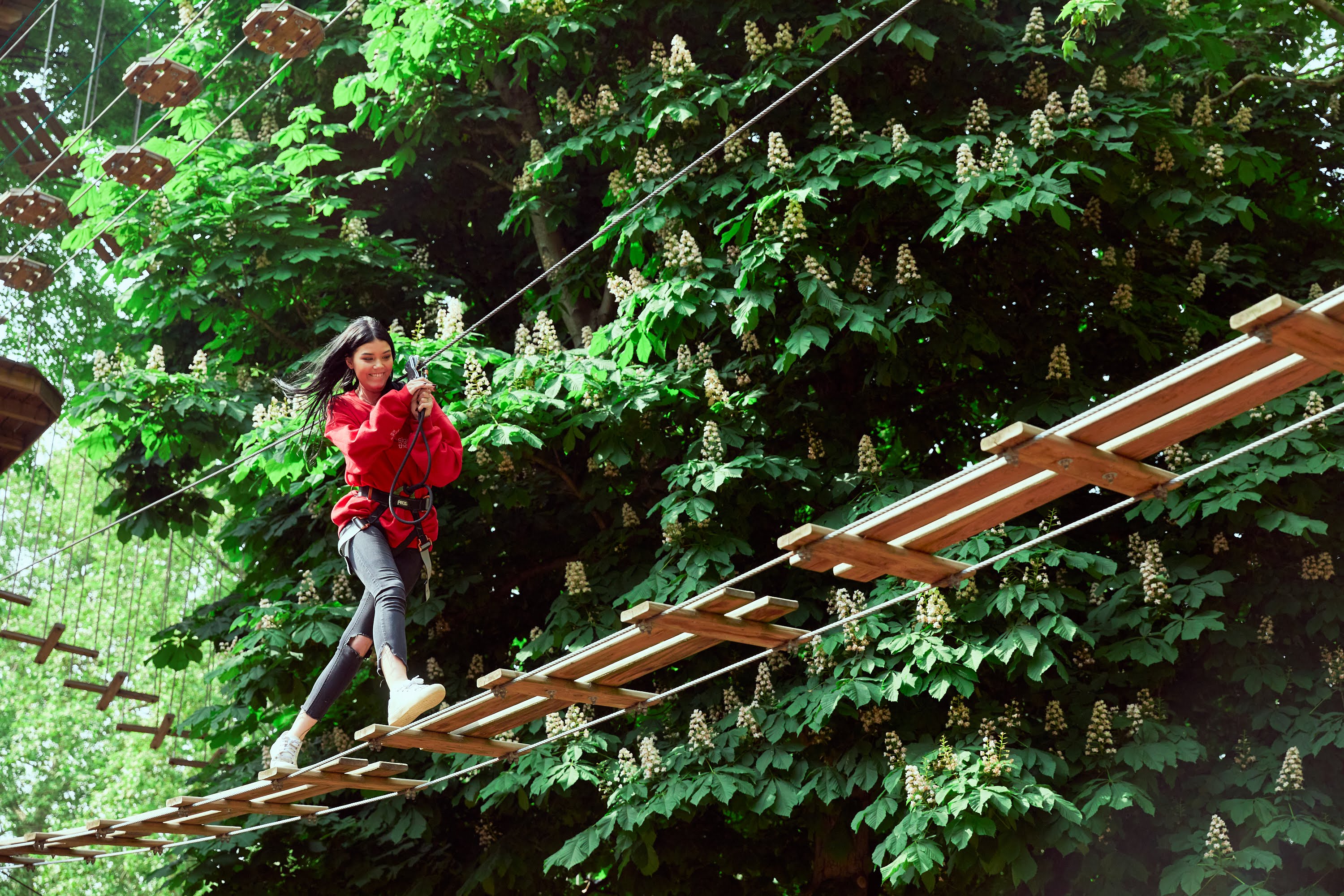 Treetop Challenge Xpress Battersea Park ...