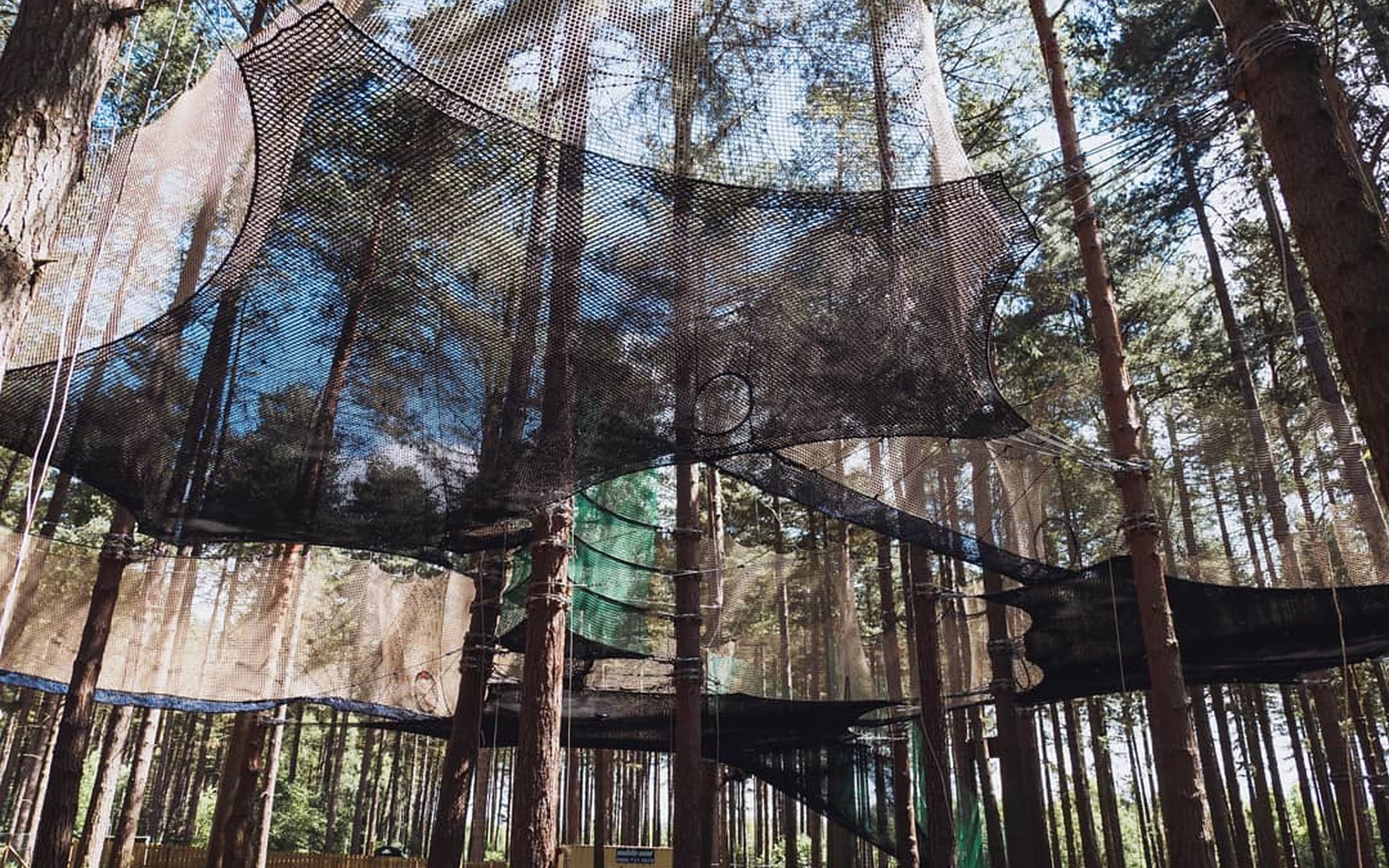 Go Ape Nets Adventure | Forestry England
