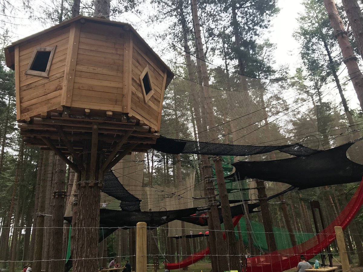 Nets Adventure at Go Ape: treehouse climbing area for team-building retreats.