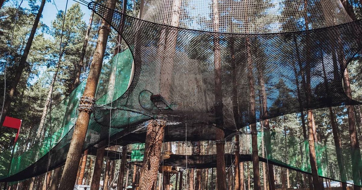Tree top trampolining is coming to ...