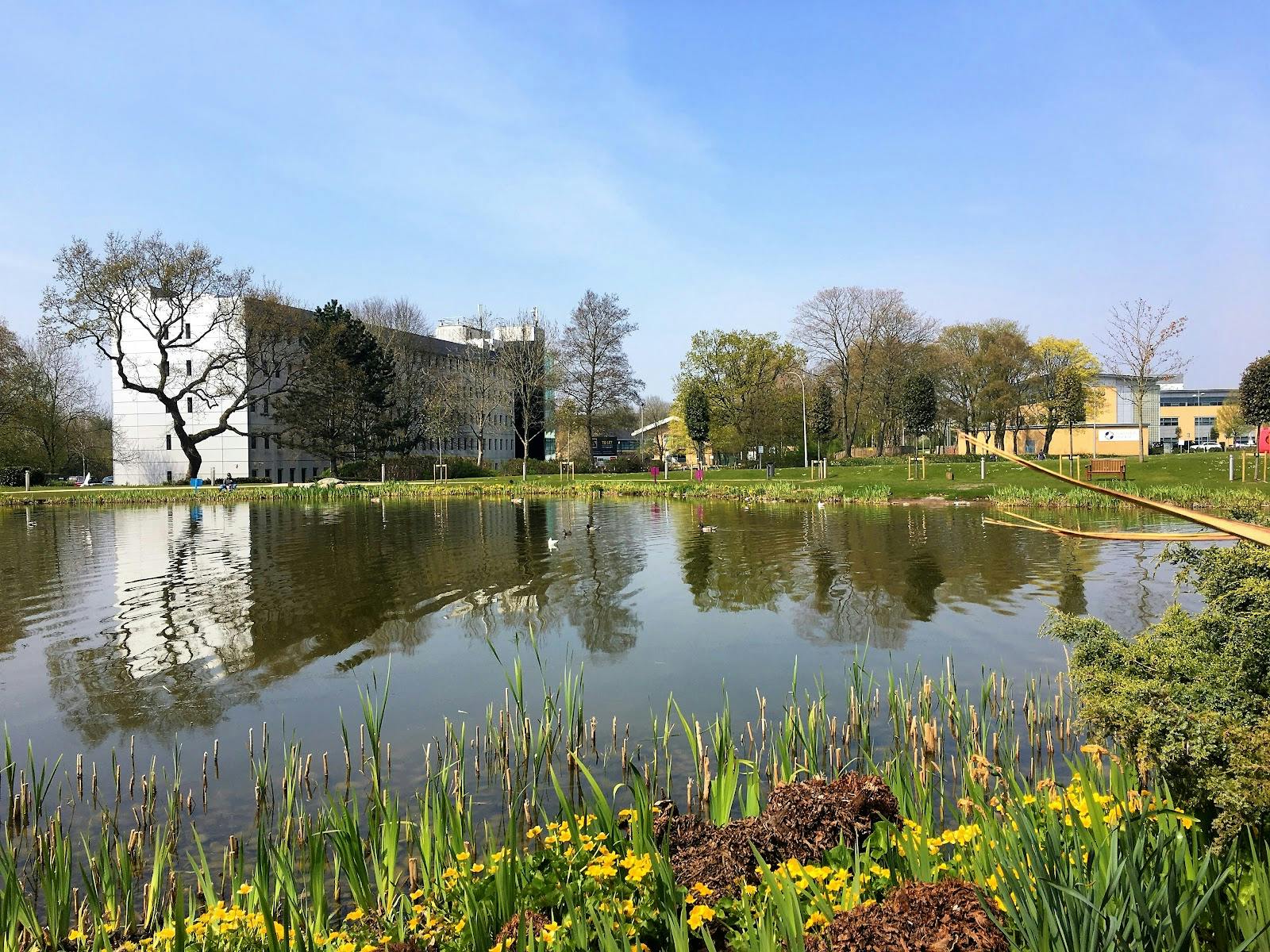 UBC Flexible Offices - Warrington Birchwood - >UBC Warrington Birchwood</a>