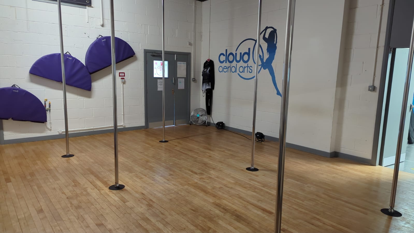 Pole Room - Cloud Aerial Arts - Event ...