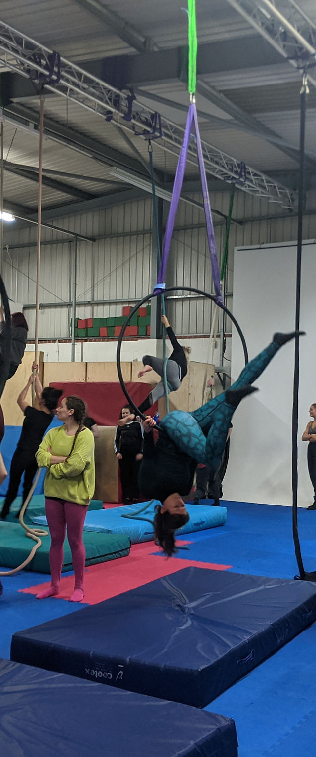 Aerial performers showcasing acrobatics in the vibrant Piccadilly Pole Room.
