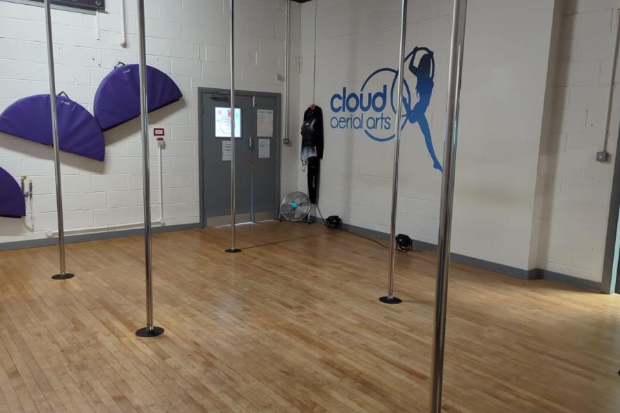 Spacious aerial arts studio with vertical poles, ideal for workshops and classes.