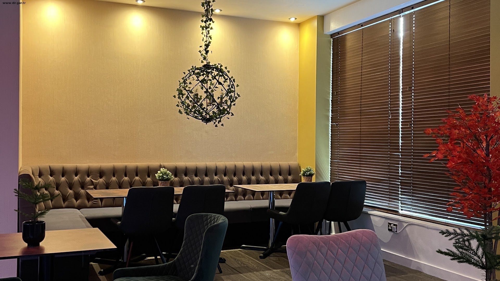 Cozy Buka Royale restaurant meeting space with contemporary furniture for gatherings