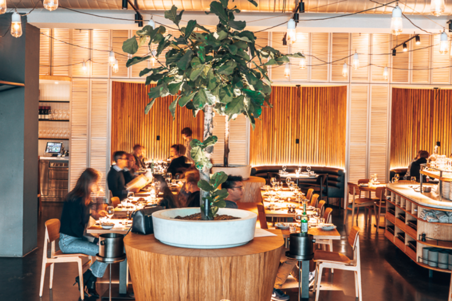 Modern cocktail bar in NENI Amsterdam with lush greenery, perfect for intimate events.