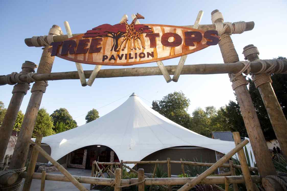 Tree Tops Pavilion at West Midlands Safari Park, ideal for corporate retreats and events.