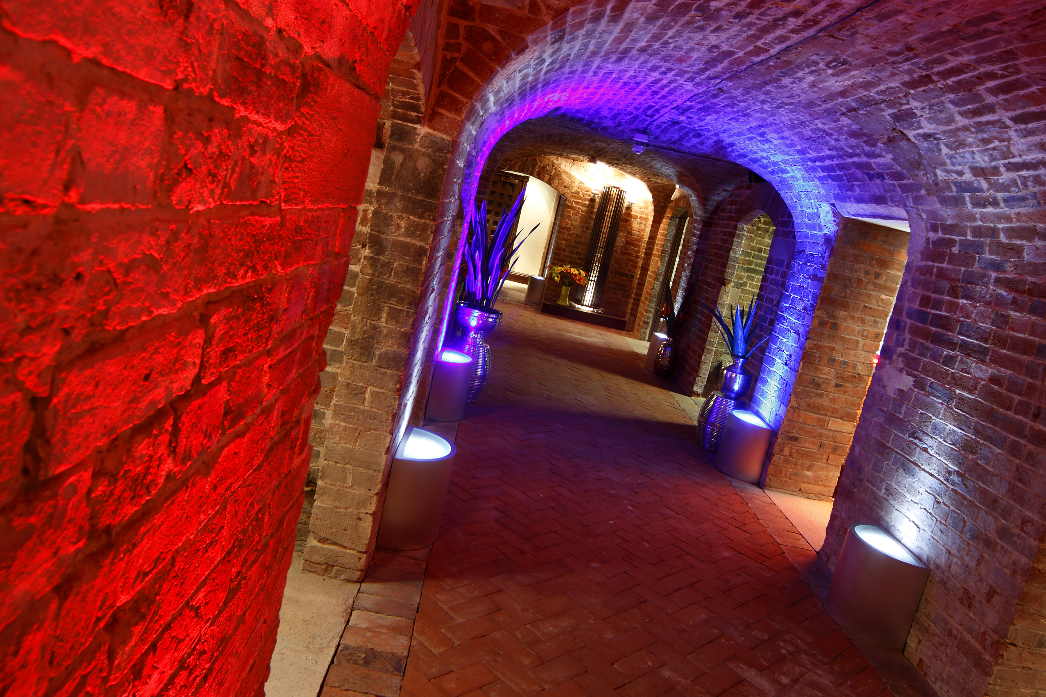 "Brick archway with red and blue lighting at West Midlands Safari Park for events"