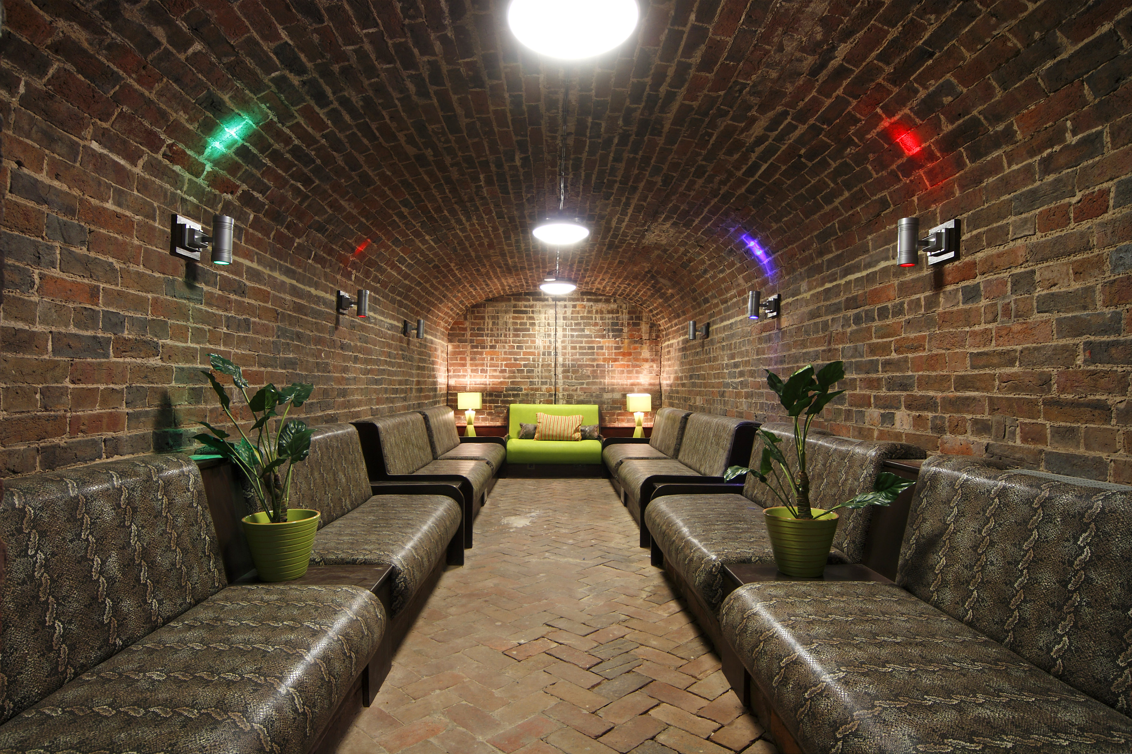 Cellarz - o3m3rxs5mib.JPG