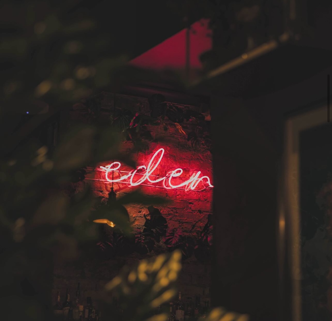 Cocktail Bar - vicv0ipo03y.jpeg