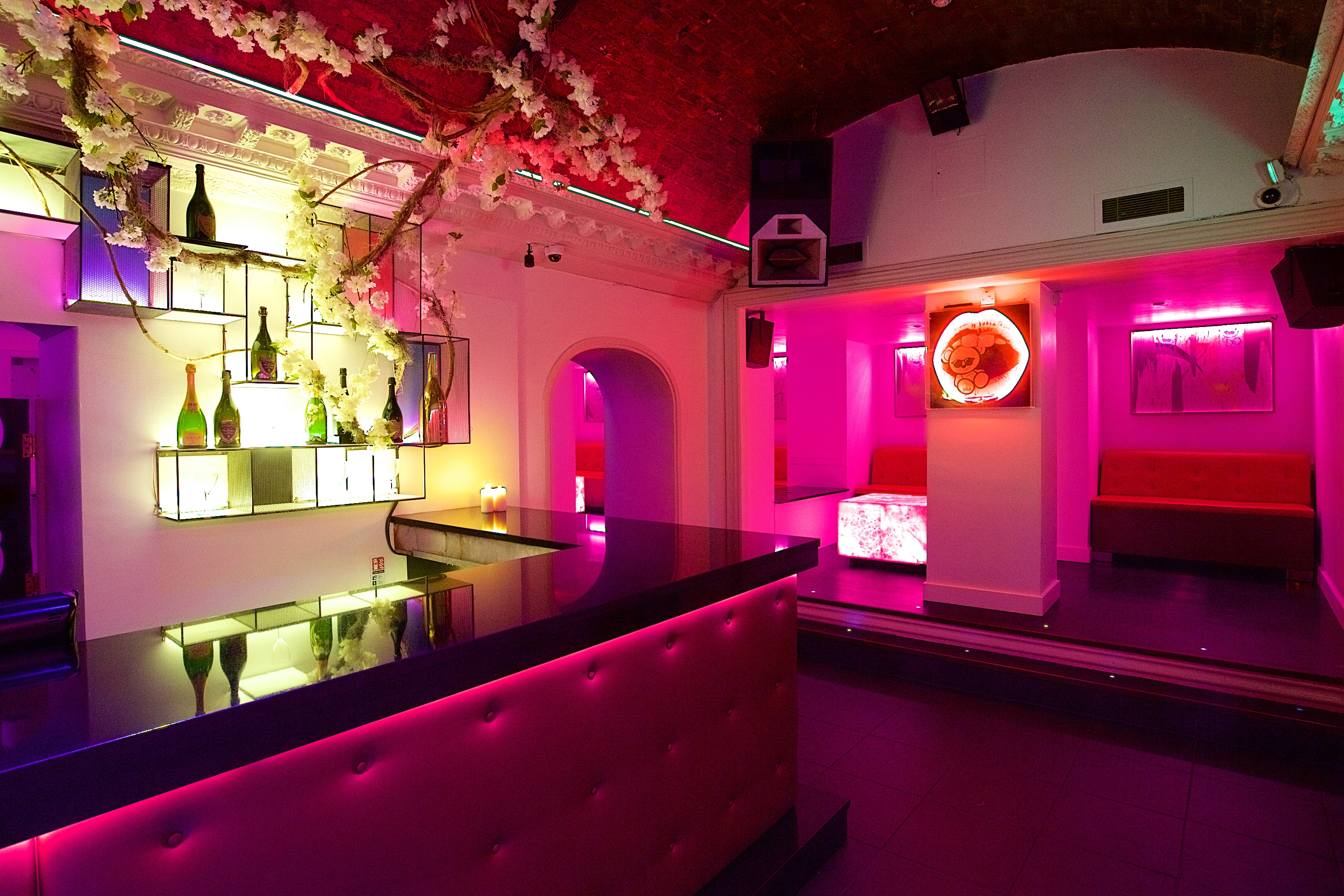 Whole Venue - bdj51ebbmcv.jpg