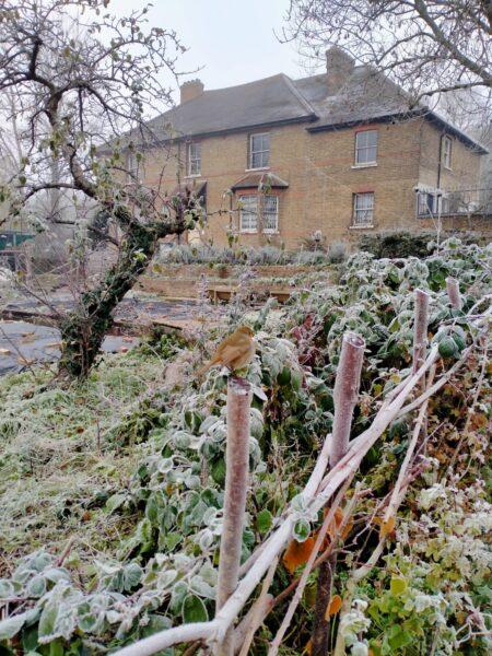 Frost-covered garden at Hayloft, ideal for outdoor meetings and creative events.